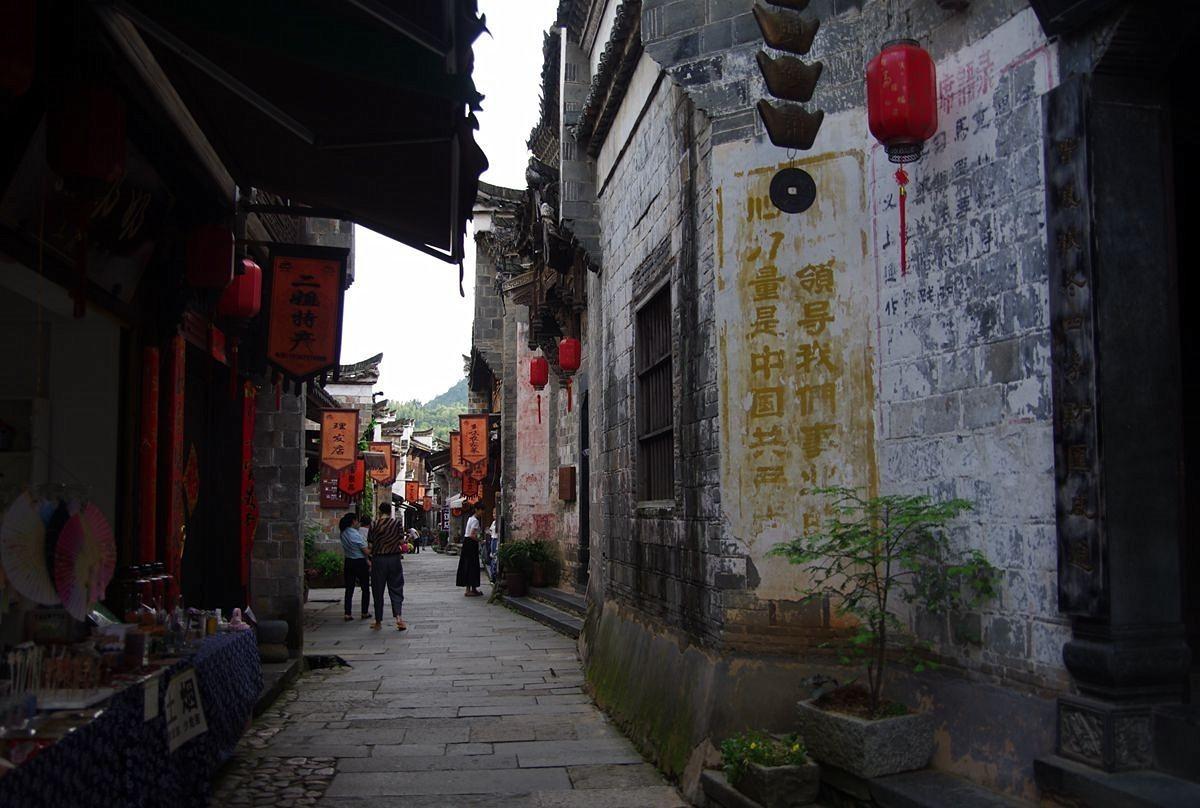 危险的社会